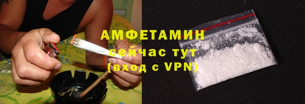 ГАЛЛЮЦИНОГЕННЫЕ ГРИБЫ Липки