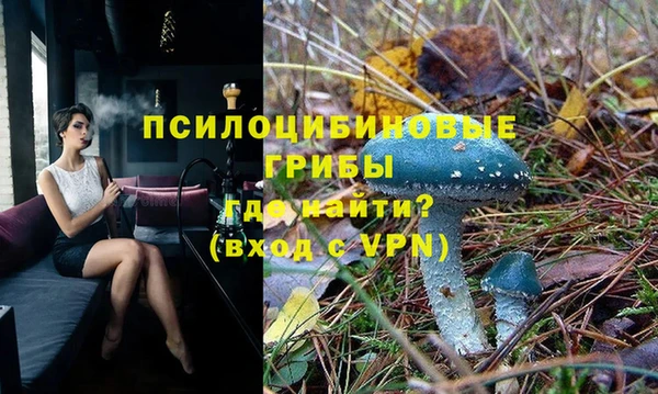 ГАЛЛЮЦИНОГЕННЫЕ ГРИБЫ Липки